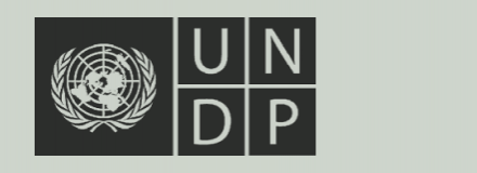 undp